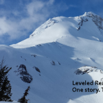 Leveled Article 1