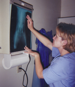 At my vet internship, 16(!) years ago, trying to look like I knew what I was doing.
