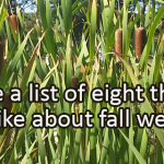 Writing Prompt for September 20: Fall Weather