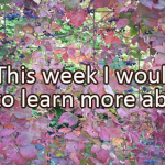 Writing Prompt for September 26: Learning This Week