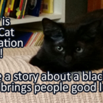 Writing Prompt for August 17: Black Cat